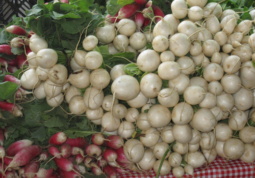 Breakfast radishes and Japanese turnips at Union Square breakfast radishes and japanese turnips, Union Square Greenmarket