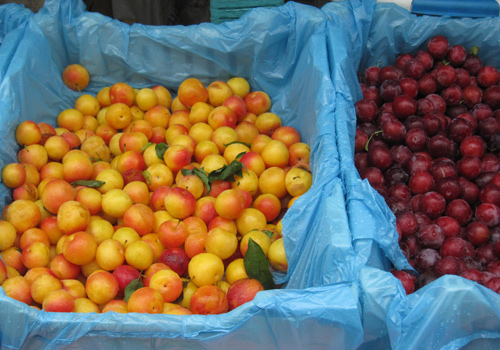 Blushing Shiro plums, almost impossible to resist. And red beauties, too (the real name has slipped my mind, but this seems as good a name as any.)