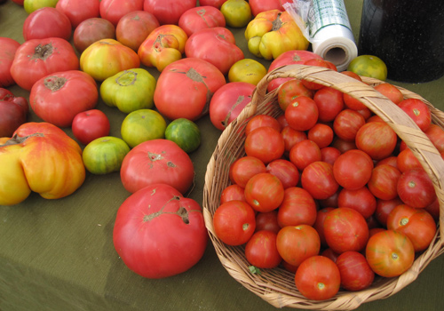 Heirloom tomatoes at Sol Flower Farm's stand at Millbrook Market in Dutchess County.